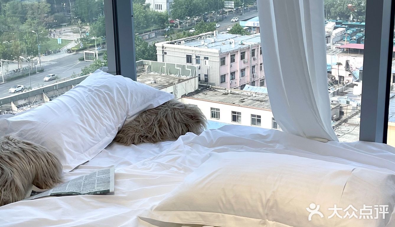 济南自拍照相馆｜ins博主同款投影仪大片🌘