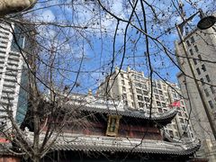 -上海白云观