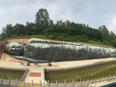 -三水森林公园