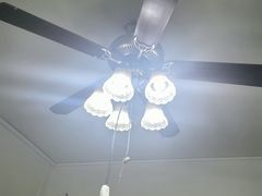 -陈有良尖椒鸡(渝中旗舰店)