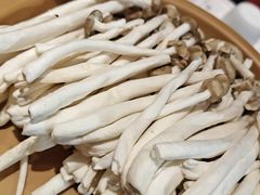 -龍歌自助小火锅(李沧丽达店)