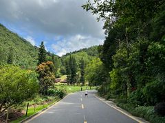 -深圳仙湖植物园