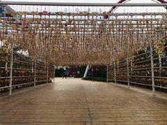 -七彩云南欢乐世界