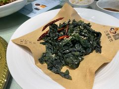 -三强鸽子(中原路店)