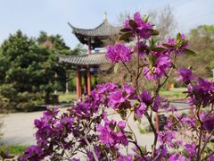 -黑龙江省森林植物园