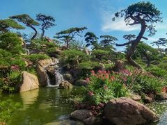 -罗红摄影艺术馆