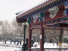 -西海子公园