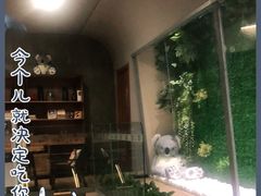 -了不起的考拉咖啡店(高新店)