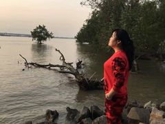 -宝安西湾红树林湿地公园