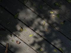 -悦哉·派对·草坪婚礼·围炉煮茶(三圣乡店)