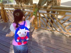 -泉州海丝野生动物世界