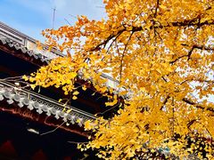 -龙华素斋(龙华路店)