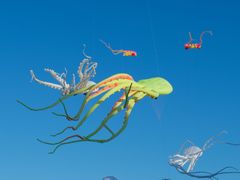 -巨鹏飞梦幻海岸