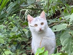 -狼山风景名胜区