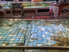 -天下春花园酒店(大东店)