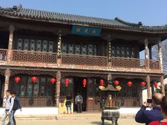 -林屋梅海青梅保护基地