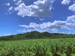 -云峰山自然风景区