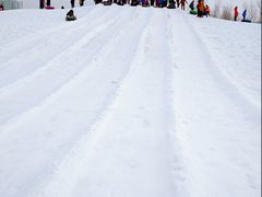 -绿野森林乐园冰雪季