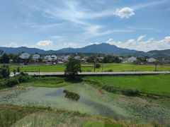 -黄牛肉馆·皖南土菜