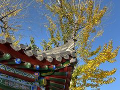 -莲湖公园