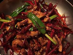 -毛辣果·酸(OHA复兴西路店)