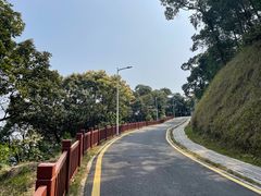 -黄埔油麻山森林公园