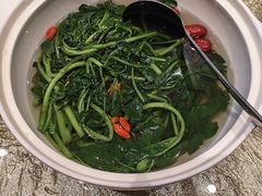 -粤珍轩·家宴·广式茶点(新城广场店)