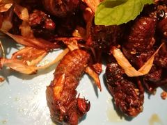 -百味地锅鸡(二店·财校分店)