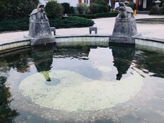 -夏津德百度假村温泉