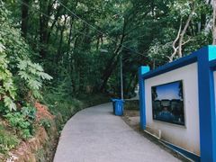 -武汉大学-樱园