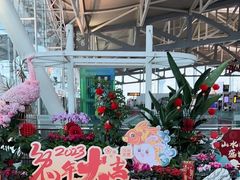 -重庆江北国际机场-T2航站楼