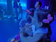 -哈尔滨波塞冬海底世界