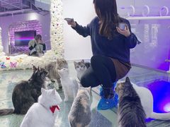 -极木²邸 人与宠物·互动社区