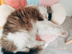 -灯塔咖啡馆BOOK·Coffee Shop