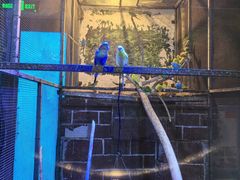 -多彩贵州城极地海洋世界