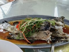 -八道本地特色菜馆(大鹏古城店)