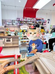 -Hape玩具部落(五棵松万达广场店)