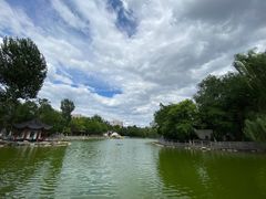 -莲湖公园