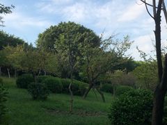 -重庆平顶山公园