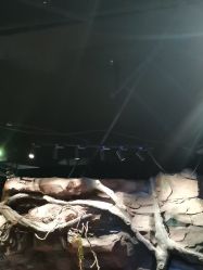 -探洞工场(丰科万达旗舰店)