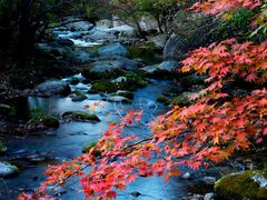 景点-本溪老边沟风景区