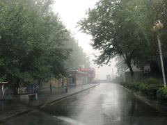 -顺鑫绿色度假村