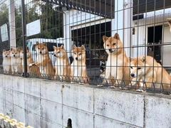 -胡桃里音乐酒馆(环亚凯瑟琳广场店)