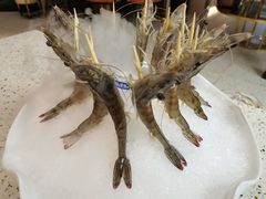 -椰子营·椰子鸡火锅(万象里店)