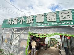 -马陆小张葡萄园农家乐