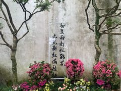 -拙政园