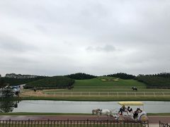 -迪茵湖田家舍生态农场