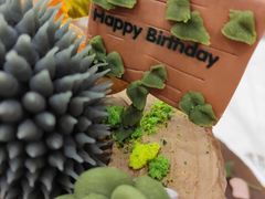 -杜哈夫DOUX RÊVE·生日蛋糕(日月光店)