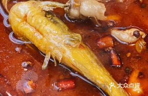 Freshly Prepared Yellow Catfish