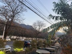 -都江堰石锅鱼
